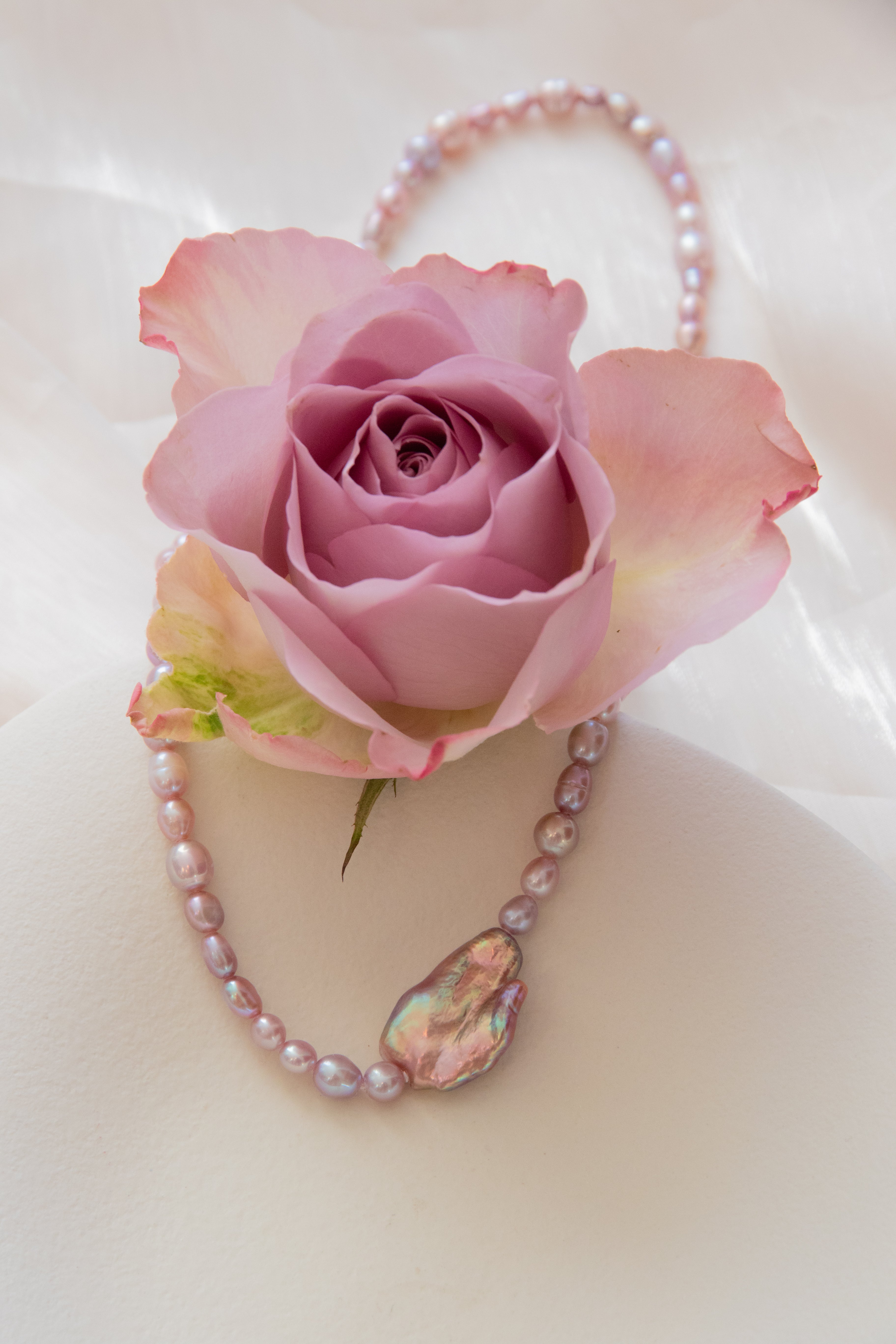 Collarbone Purple Aurora