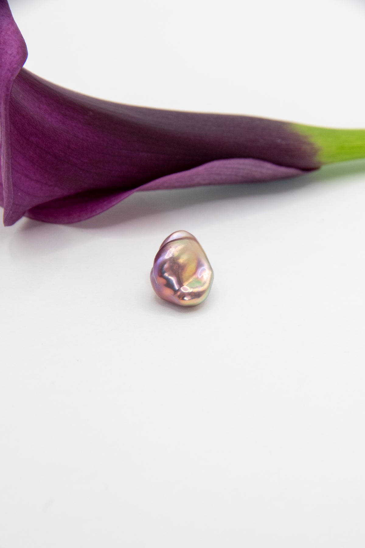 Aurora rose-seedless