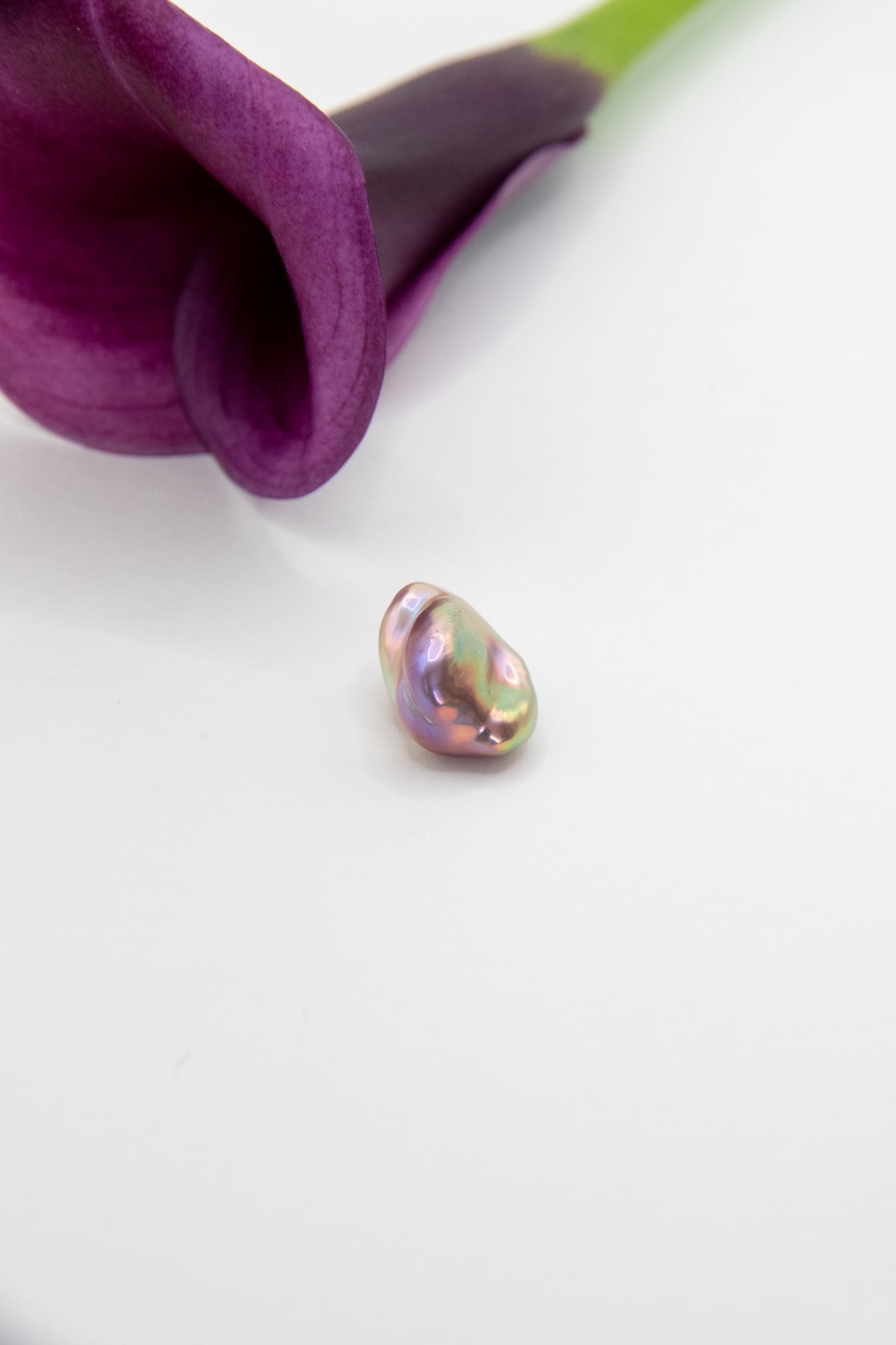 Aurora rose-seedless