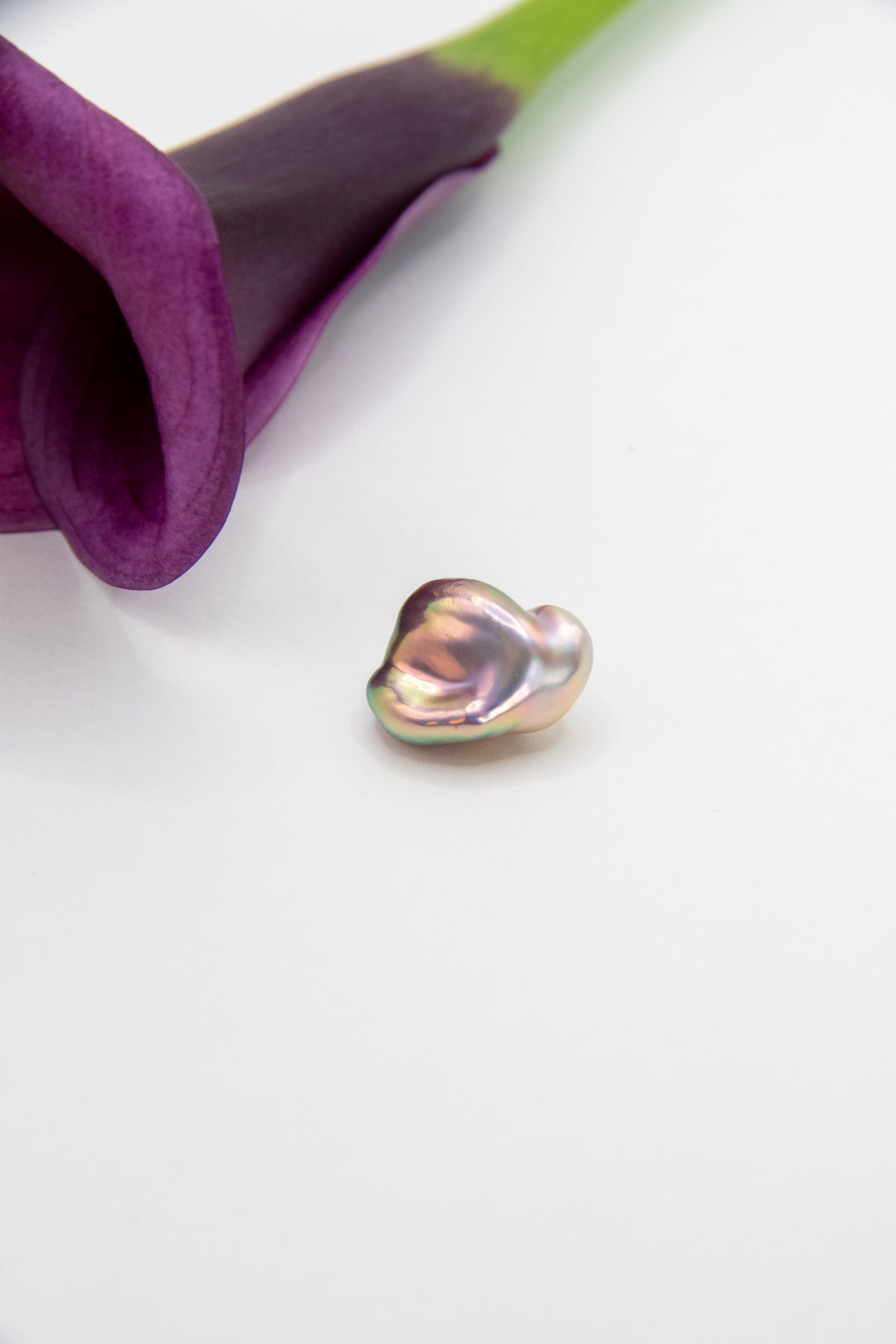 Aurora rose-seedless