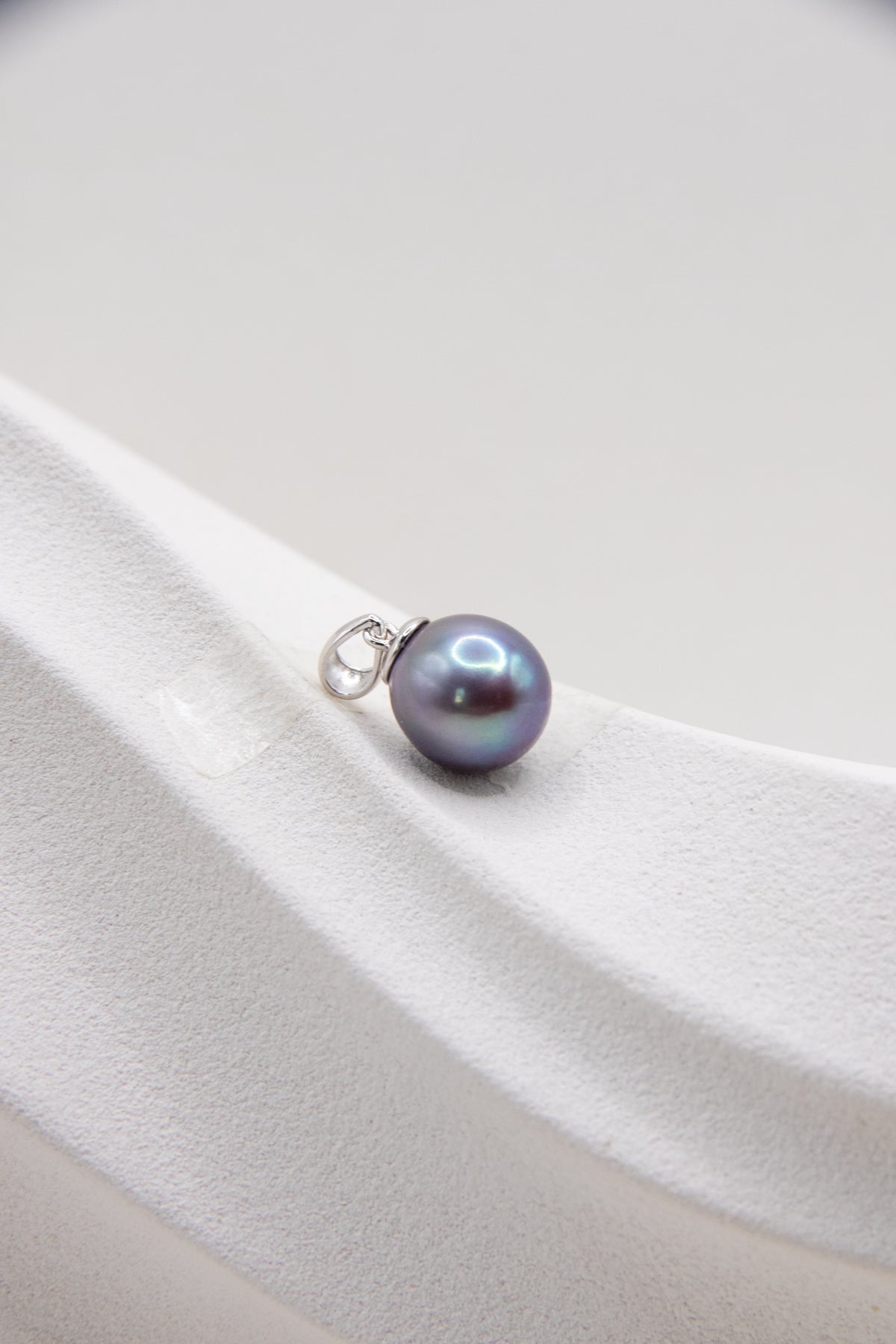 Iceberg Rose-excellent level petal pearl in blue-white